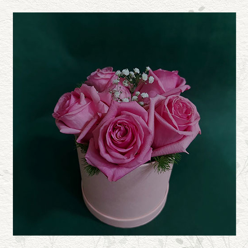 Box 5 eqvadorskih ruža • Viola Flowers