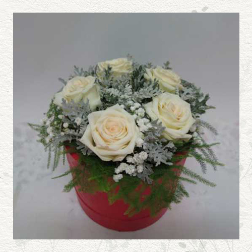 Box 5 belih ruža